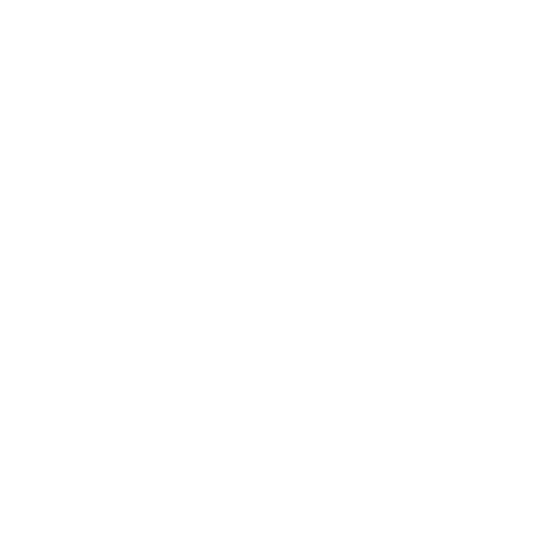 Expertus